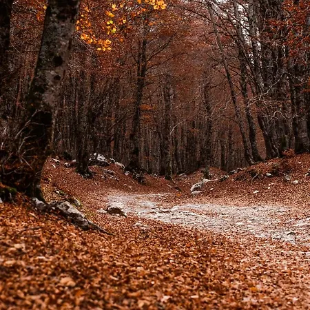 A Campo Felice - Treeffe *